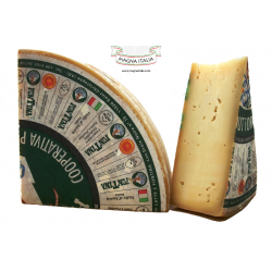Fontina Aosta DOP Cheese